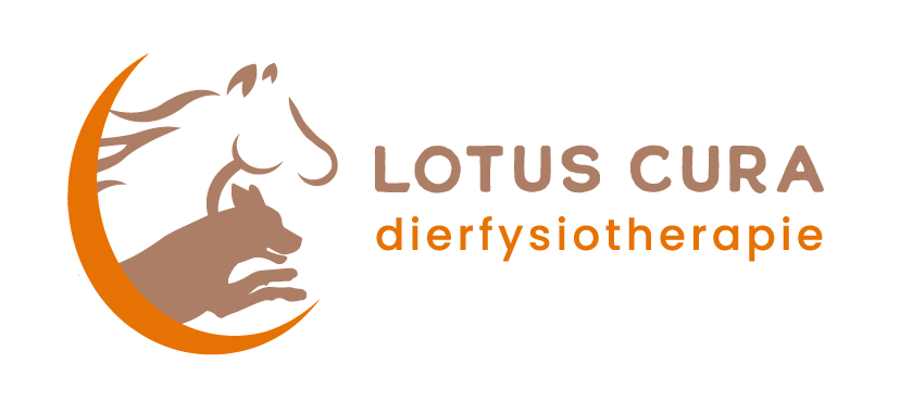Lotus Cura